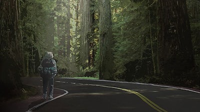 Redwood Highway