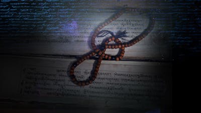 Intro to CE5 & Sanskrit Puja