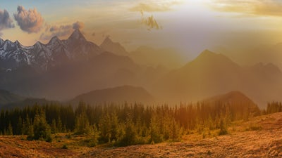 Value of Connections - Meditation 