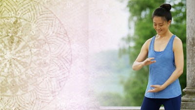 Organ Mudra Meditation