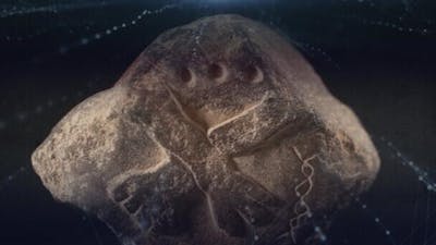 Las manos cruzadas de Ambo