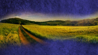 Part 6: Where Do We Go From Here? Taking a Stand