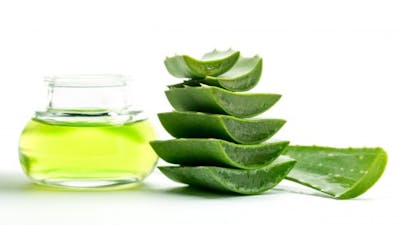 Superfoods: Aloe & Algae with Mike Adams