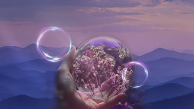 What Is the Universe Up to With You?
