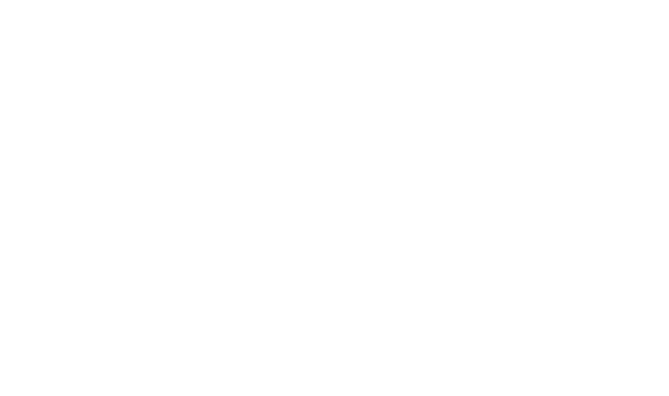 Truth Hunter