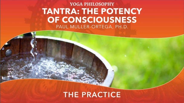 The Practice