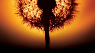 Am Anfang war das Licht