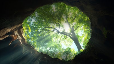 Session 3: Unlock Optimum Health