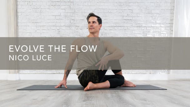Evolve the Flow