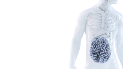 El intestino: mi segundo cerebro