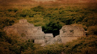 Temples Mayas : Mystères de la Jungle