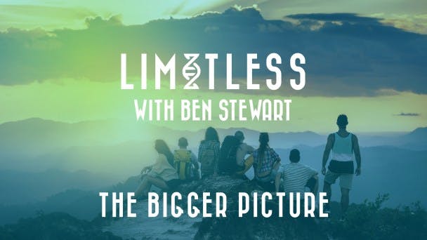 The Bigger Picture