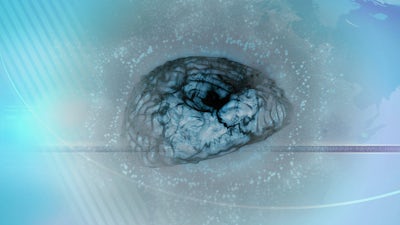 Is Consciousness Electromagnetic?