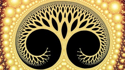 We Are the Ones We Have Been Waiting For