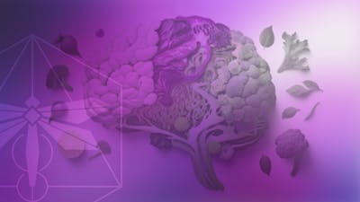 Gut Brain Health