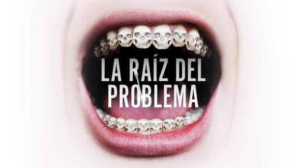 La Raíz del Problema