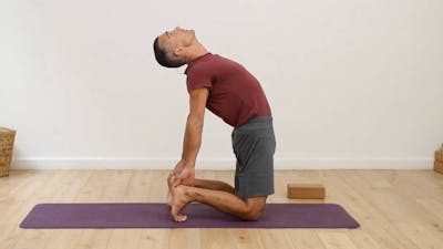 Flexions arrières