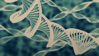 Bruce H. Lipton on Using Thoughts to Control Genes