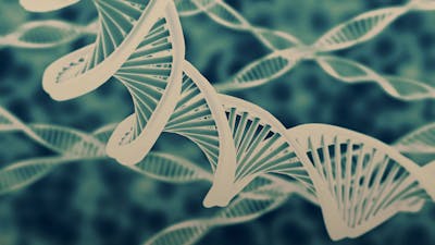 Bruce H. Lipton on Using Thoughts to Control Genes