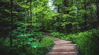 See What's Possible: Audio Meditation