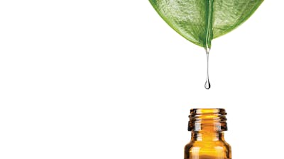 Quest for Real Immunity: The Wisdom of the Body