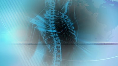 The Vagus Nerve: Your Key to Health