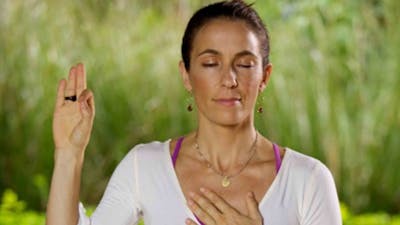 Pranayama & Meditation