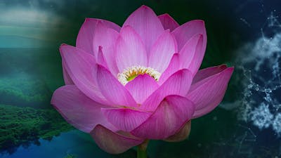 Être multidimensionnel entre spiritualité et champ quantique.