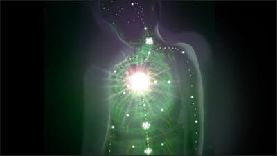 Secrets for a Long Life