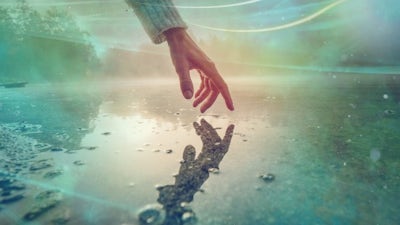 Living in a Reflected Reality