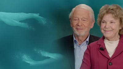 Von der Quantenphysik zum Bewusstsein