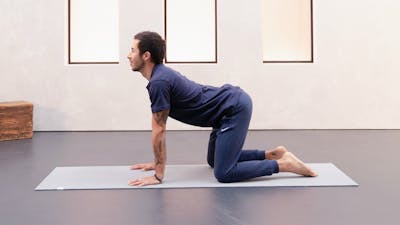 Bereit für die Nacht