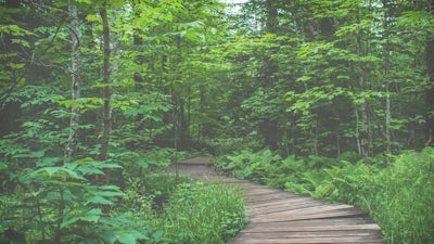 A Moment for Caregivers: Audio Meditation