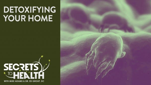 Detoxifying Your Home