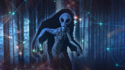 Tracking Signs of Sasquatch