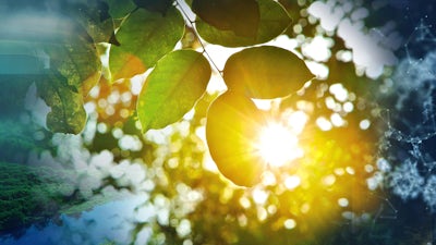 Pratique du Bonheur Intérieur Brut