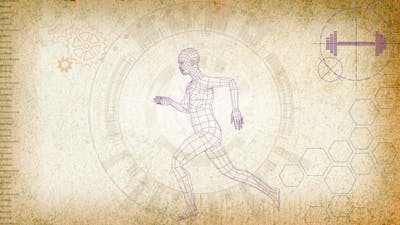 Le sport : Optimisez les résultats avec un minimum d'effort