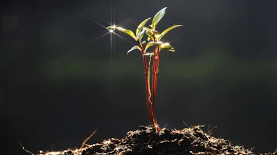 John Burke on the Seeds of Knowledge