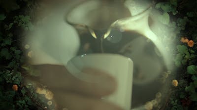 The Call to Heal