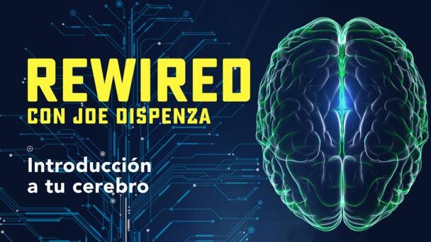 Introducción a Tu Cerebro 