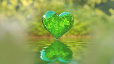 Los campos electromagnéticos