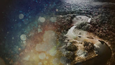 Ur- Natur & Ahnen- Wissen