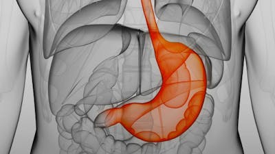 The Truth about Dieting