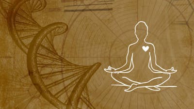 La science de la manifestation de la santé