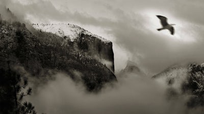 Missing 411: Part 2 with David Paulides