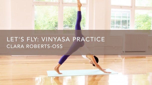 Let's Fly: Vinyasa Practice