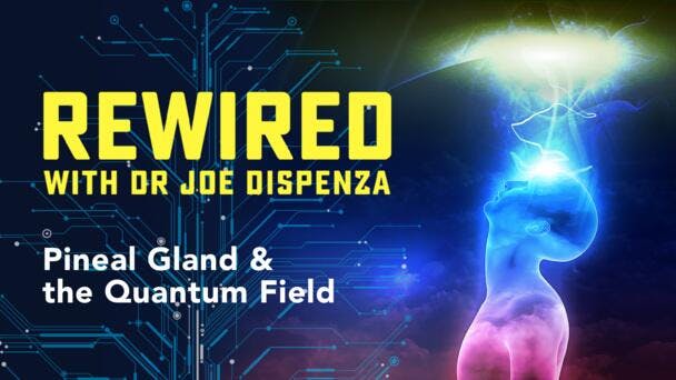 Pineal Gland & the Quantum Field