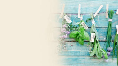 Wild Plants & Herbs