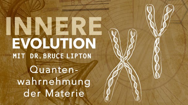 Quantenwahrnehmung der Materie