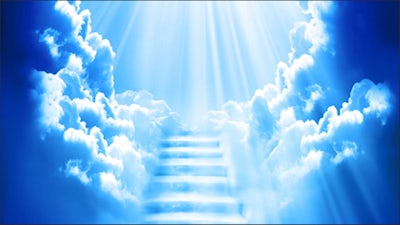 Decoding your Soul Contract with Nicolas David Ngan